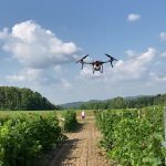 Avez-vous manqué ces articles?