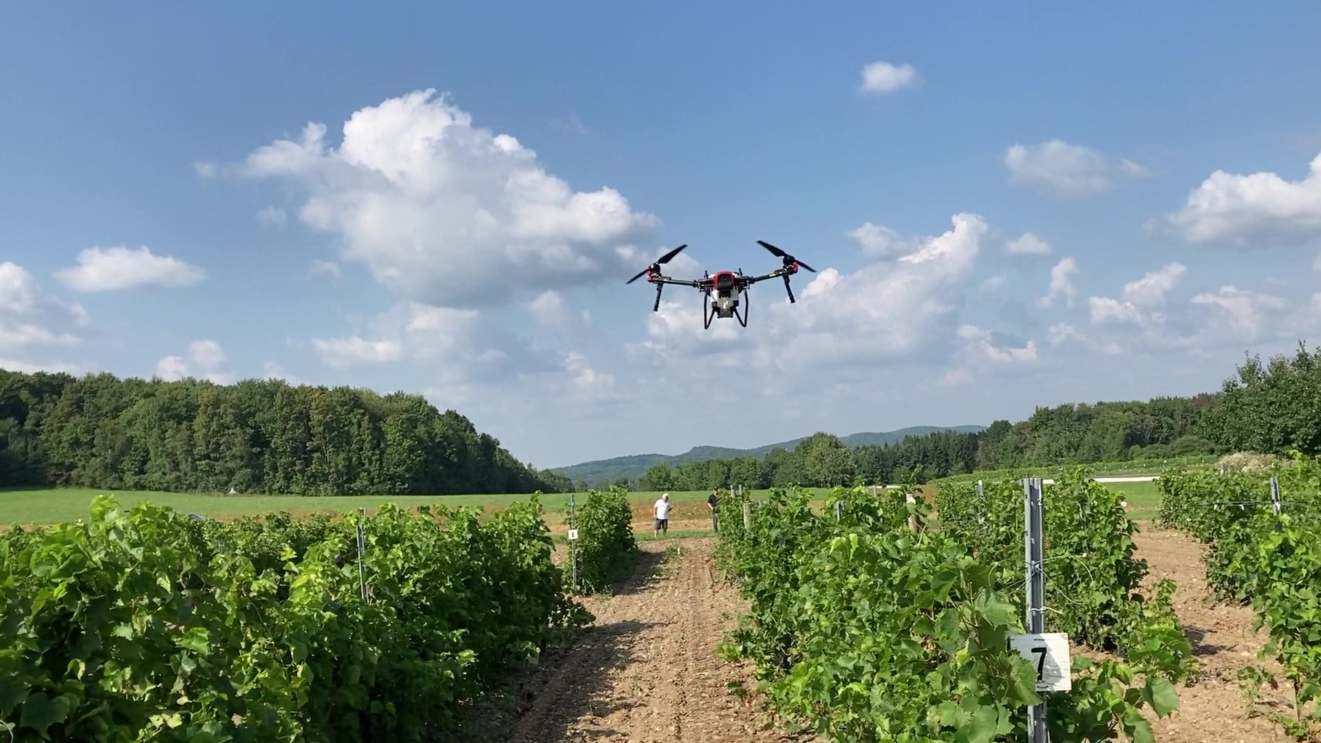 Les avez-vous manqués?