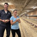 Mathieu Deslandes et Nancy dans leur poulailler.