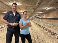 Mathieu Deslandes et Nancy dans leur poulailler.