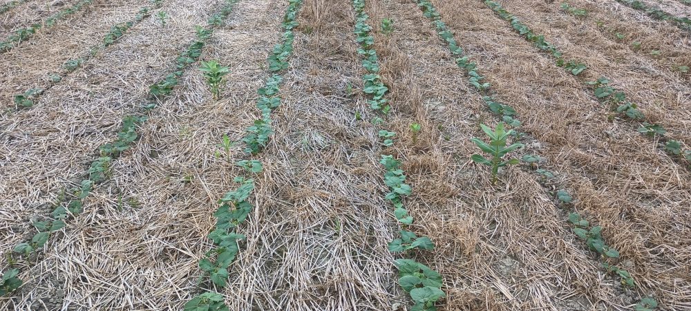 Tourn&eacute;e virtuelle des champs