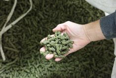 Ce tourteau de soya noir de la semenci&egrave;re Prograin peut &ecirc;tre incorpor&eacute; &agrave; la ration &agrave; hauteur de 2 kilos quotidiens par vache. &Agrave; 91-92% de mati&egrave;re s&egrave;che, il dose en moyenne 35% de prot&eacute;ine et 16% de lipide.