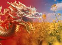 Avez-vous manqué ces articles?