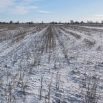 Objectif : préparer le plan de match 2026-2036