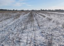 Objectif : préparer le plan de match 2026-2036