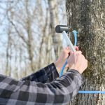 Près de 5000 nouvelles entailles entreront en production d'ici 2028.