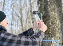 Près de 5000 nouvelles entailles entreront en production d'ici 2028.