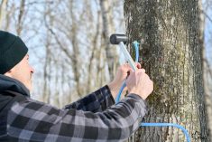 Pr&egrave;s de 5000 nouvelles entailles entreront en production d'ici 2028.