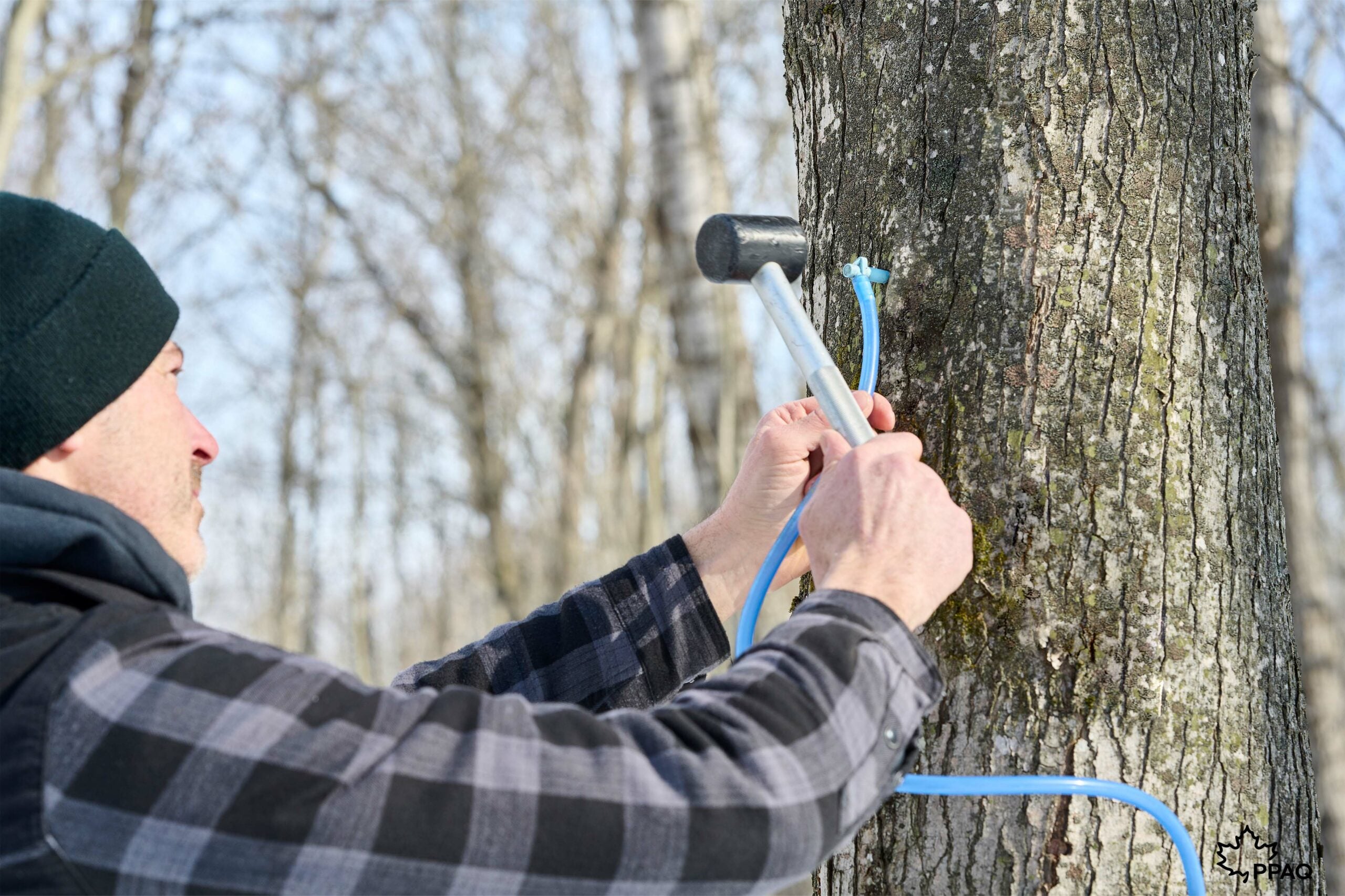 Près de 5000 nouvelles entailles entreront en production d'ici 2028.