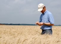 La RBC indique que la recherche agricole externalisée du secteur public vers les universités a diminué de 77 % au cours des cinq dernières années, et que le nombre d'entreprises menant des recherches en agriculture et en alimentation a diminué de 29 % au cours de la dernière décennie.