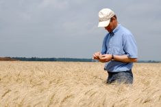 La RBC indique que la recherche agricole externalis&eacute;e du secteur public vers les universit&eacute;s a diminu&eacute; de 77 % au cours des cinq derni&egrave;res ann&eacute;es, et que le nombre d'entreprises menant des recherches en agriculture et en alimentation a diminu&eacute; de 29 % au cours de la derni&egrave;re d&eacute;cennie.