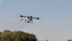 Application de pesticides par drones: en attente d&rsquo;un d&eacute;collage en r&egrave;gle!