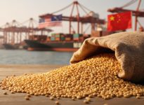 Le soya mène toujours la charge