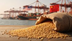 Le soya m&egrave;ne toujours la charge