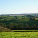 Champs du Devon en Grande-Bretagne. Janvier 2024. Photo: Matt McIntosh