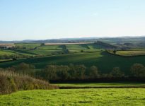 Champs du Devon en Grande-Bretagne. Janvier 2024. Photo: Matt McIntosh