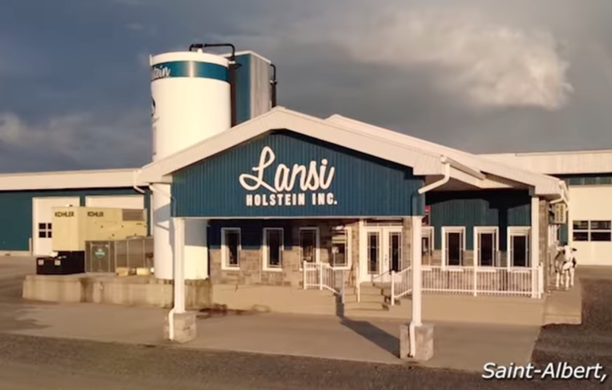 Des productions très diversifiées pour les finalistes du concours Tournez-vous vers l’excellence!