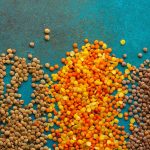 Opportunité à saisir avec les légumineuses