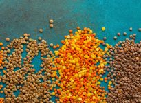 Opportunité à saisir avec les légumineuses