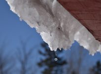 Météo: un réchauffement en vue en février?