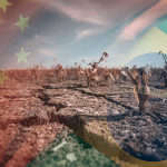 Soya, les dés sont-ils joués?