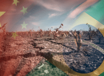 Soya, les dés sont-ils joués?