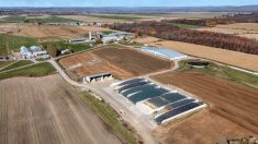 Lors de la construction de la nouvelle &eacute;table pour les vaches en lactation, &agrave; droite, Yan et Ysabel Jacobs, et leur m&egrave;re Marian Ghielen de la Ferme L&eacute;o Jacobs et fils ont aussi construit un site d&rsquo;entreposage et de fabrication des aliments pour eux, mais aussi pour trois autres fermes de la famille. L&rsquo;ancienne &eacute;table de la ferme derri&egrave;re loge les vaches de Gestion Jean Jacobs, le p&egrave;re de Yan et d&rsquo;Ysabel, ainsi que les vaches taries et la rel&egrave;ve de la Ferme L&eacute;o Jacobs. &Agrave; gauche, on voit la Ferme Ty-D, propri&eacute;t&eacute; de Tyler Doiron, le conjoint d&rsquo;Ysabel. La Ferme New Jersey de la s&oelig;ur d&rsquo;Ysabel, Laurie, et de son conjoint Mathieu Jalbert est situ&eacute;e &agrave; une dizaine de minutes de l&agrave;.