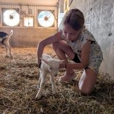 Activit&eacute; d'&Eacute;cole-o-champ chez Caprijol qui fait partie du r&eacute;seau d&rsquo;agri-ambassadeurs.