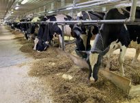 Avez-vous manqué ces articles?