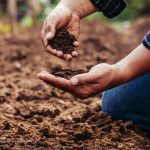 Programme AgroPerformance: demande refusée!