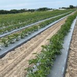 Hommage à Roger Doucet