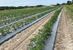 Hommage &agrave; Roger Doucet