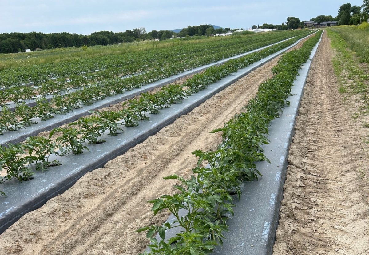 Investir dans la réduction des gaz à effet de serre agricole?