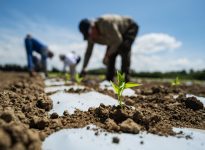Un appui gouvernemental pour l’ARTERRE