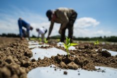 Un appui gouvernemental pour l&rsquo;ARTERRE