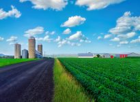 Nouvelle chaire de recherche sur les risques en agriculture