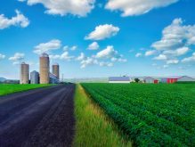 Nouvelle chaire de recherche sur les risques en agriculture