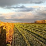 Réaménager l'espace autour de nos champs.