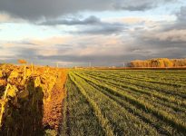 Réaménager l'espace autour de nos champs.