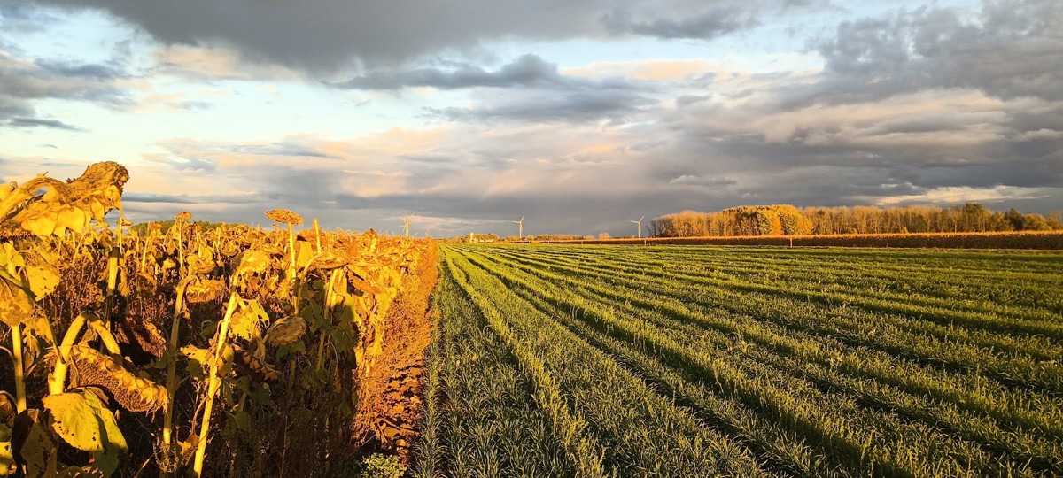 R&eacute;am&eacute;nager l'espace autour de nos champs.