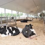 Dans un projet, Agriclimat et l'Université Laval a évalué les émissions de GES pour 62 fermes laitières.