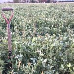 Non au nouveau règlement sur les pratiques agroenvironnementales