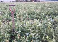 Non au nouveau règlement sur les pratiques agroenvironnementales