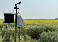 Le modèle hybride combine la météorologie traditionnelle, la puissance de calcul de l’intelligence artificielle et l’expertise locale des météorologues. Ce mélange permet de tirer le meilleur des deux mondes : la rigueur scientifique et la rapidité d’analyse. Photo: Don Norman