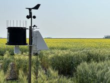 Le mod&egrave;le hybride combine la m&eacute;t&eacute;orologie traditionnelle, la puissance de calcul de l&rsquo;intelligence artificielle et l&rsquo;expertise locale des m&eacute;t&eacute;orologues. Ce m&eacute;lange permet de tirer le meilleur des deux mondes : la rigueur scientifique et la rapidit&eacute; d&rsquo;analyse. Photo: Don Norman